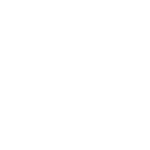 NSP Logo